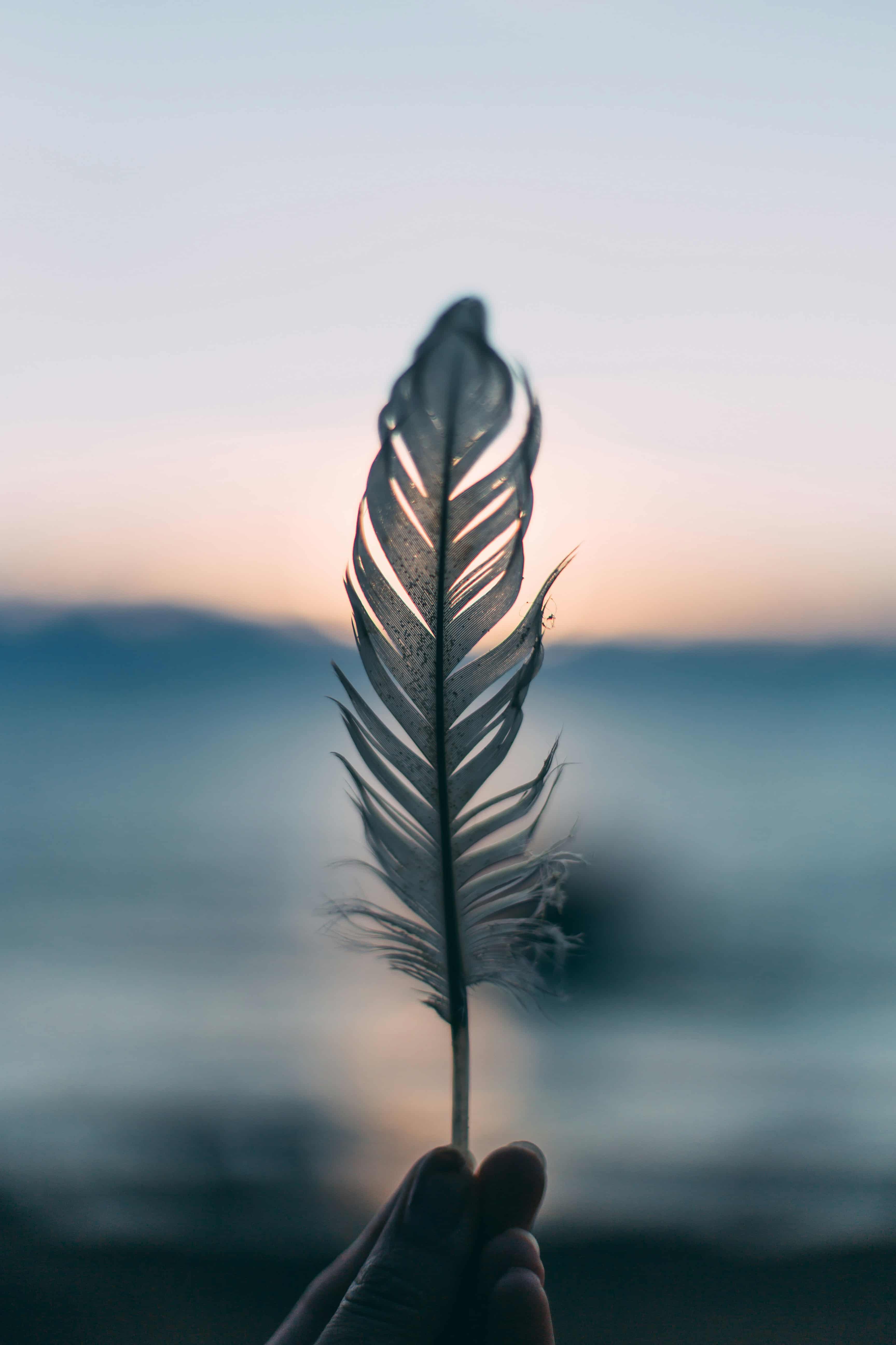 Spirit Science: consciousness, meditation and the ancient path